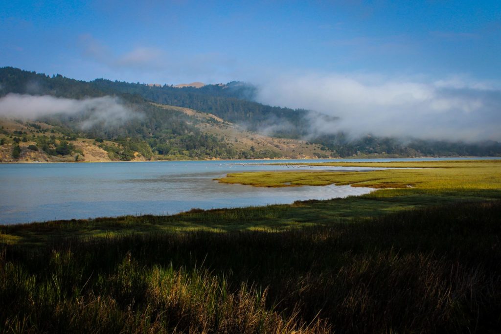 Resource Renewal Institute - Pt. Reyes National Seashore